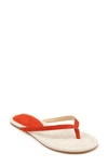 SPLENDID ASHLEE FLIP FLOP,LL2032