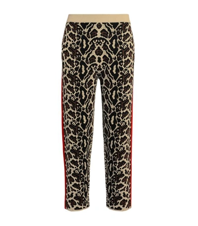 Stella Mccartney Intarsia Knitted Track Pants In Leopard Print