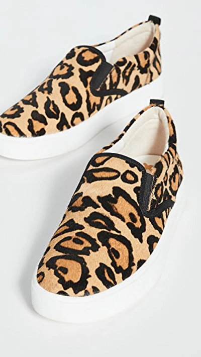 Sam Edelman Edna Slip-on Sneaker Women's Shoes In New Nude Leopard