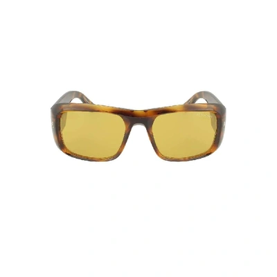 Tom Ford Women's Brown Acetate Sunglasses