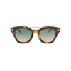 TOM FORD TOM FORD WOMEN'S BROWN ACETATE SUNGLASSES,FT057553P 49