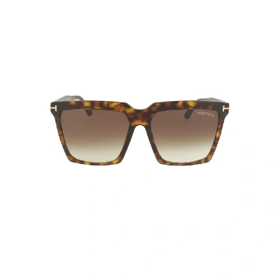 Tom Ford Women's Brown Acetate Sunglasses