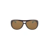 ALAIN MIKLI ALAIN MIKLI WOMEN'S BROWN ACETATE SUNGLASSES,AL1205S00M 59