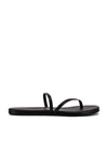 Tkees Sarit Sandals In Black