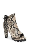 Allsaints Micaela Snake-embossed Suede Heeled Ankle Boots In Black Suede