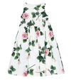 Dolce & Gabbana Girl's Tropical Rose Shirred Waist Dress, Size 8-12 In White