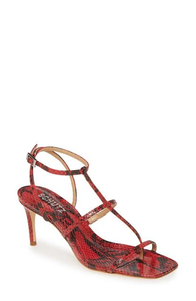 Schutz Ameena T-strap Thong Sandal In Scarlet Snake Print Leather