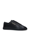 SAINT LAURENT LEATHER ANDY SNEAKERS,14993410