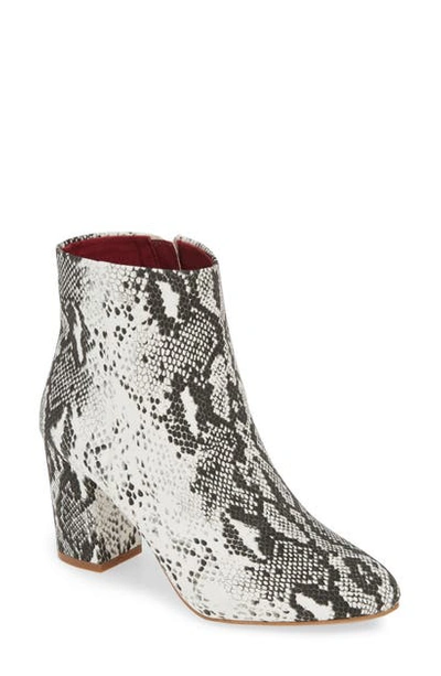 Band Of Gypsies Andrea Bootie In Natural Zebra Print Canvas