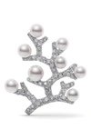 MIKIMOTO DIAMOND & CULTURED PEARL TREE BROOCH,MBQ10028ADXW