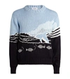 THOM BROWNE COTTON DOLPHIN jumper,15015724