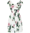 DOLCE & GABBANA FLORAL COTTON DRESS,P00442901