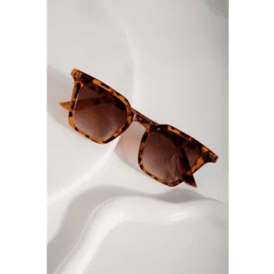 24 Colours Ary Sunglasses In Brown