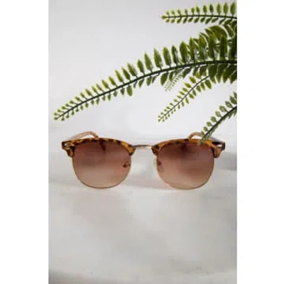 24 Colours Bram Sunglasses In Brown
