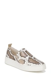 Vince Saxon2 Snake-print Leather Slip-on Sneakers In Taupe Snake