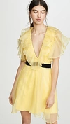 Macgraw Sandpiper Ruffled Dress In Yellow/black