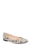 Agl Attilio Giusti Leombruni Notch Ballet Flat In Ivory Multi Snake Print