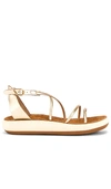 Ancient Greek Sandals Anastasia Metallic Flatform Sandals In Platinum