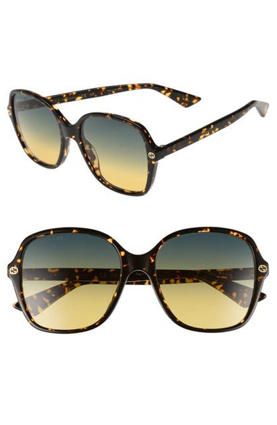 Gucci 55mm Gradient Sunglasses In Havana/ Grey