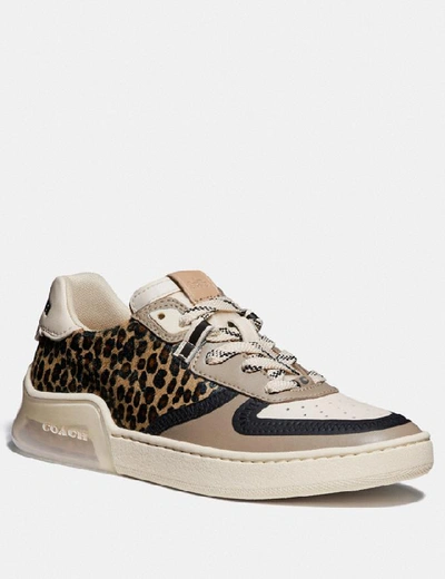 Coach Citysole Leopard-print Calf Hair & Leather Court Sneakers In Natural/beechwood