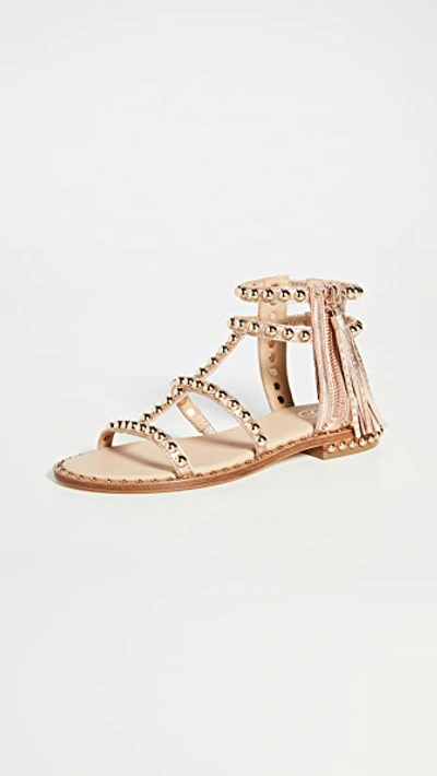 Ash Play Studded Gladiator Sandals In Pink