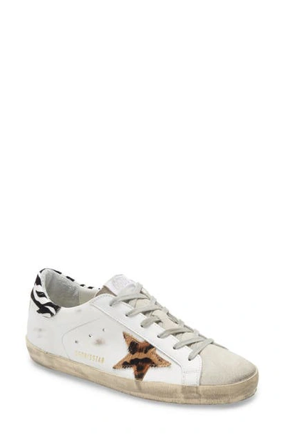 Golden Goose Superstar Genuine Calf Hair Animal Print Sneaker In White