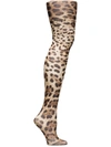 Dolce & Gabbana Leopard Print Tights In Tulle In Brown