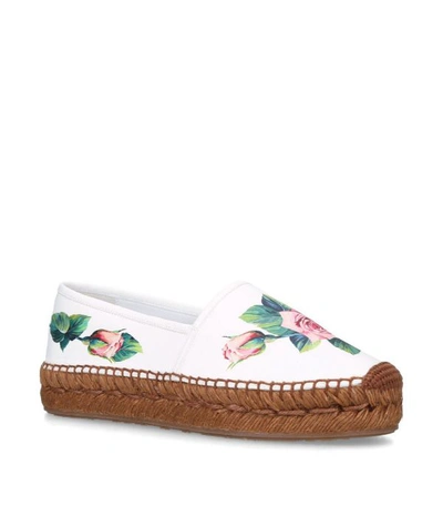 Dolce & Gabbana Leather Tropical Rose Print Espadrilles In White