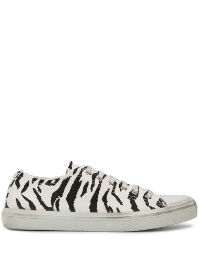 Saint Laurent Bedford Zebra Print Sneakers In White