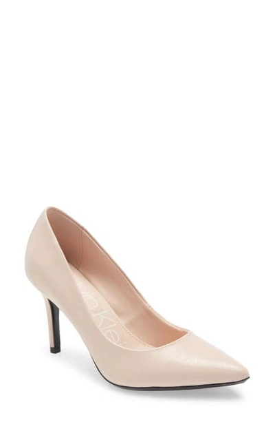 Calvin Klein 'gayle' Pointy Toe Pump In Sheer Satin Leather