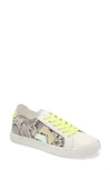 DOLCE VITA ZAGA SNEAKER,ZAGA