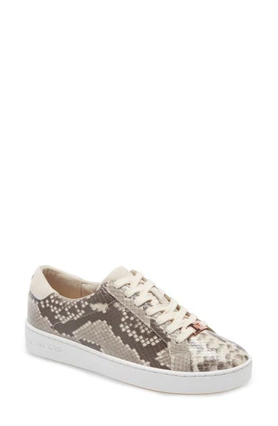 Michael Michael Kors Irving Sneaker In Snake Print