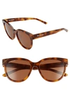 Balenciaga Women's Round Sunglasses, 54mm In Havana/brown