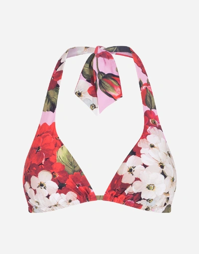 Dolce & Gabbana Padded Triangle Bikini Top With Geranium Print In Floral Print