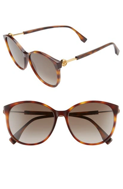 Fendi 58mm Gradient Cat Eye Sunglasses In Dark Havana/ Brown