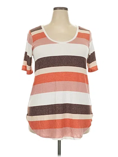Pre-owned 24/7 Maurices Short Sleeve T-shirt In Brown