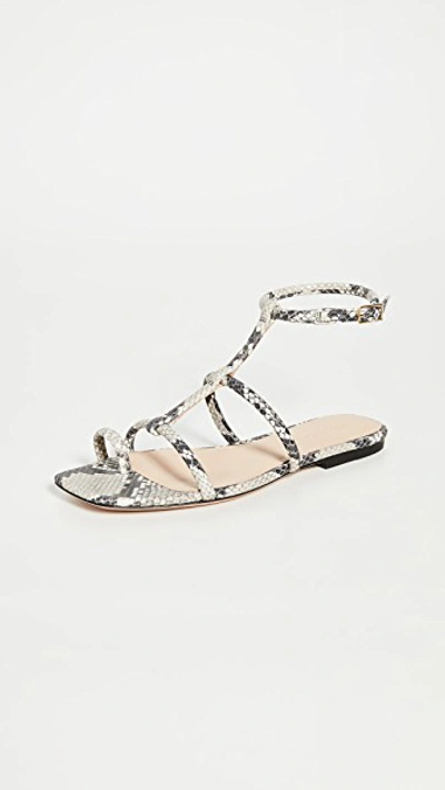 Veronica Beard Mayuri Ankle Strap Sandal In Neutrals