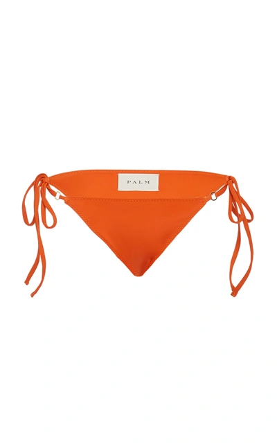 Palm Talise Bikini Bottom In Orange