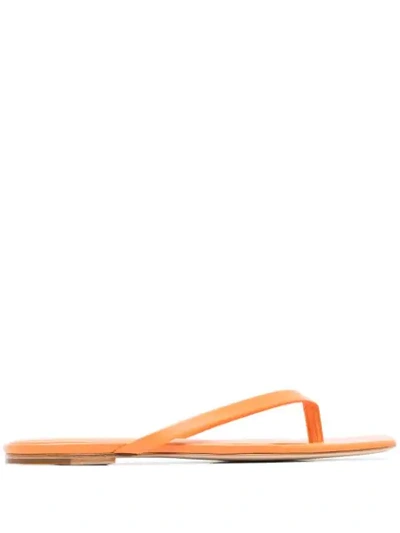 Studio Amelia Square-toe Flip Flop Sandals In Orange