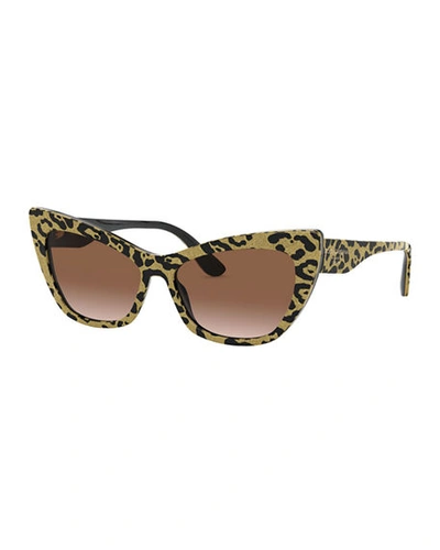 Dolce & Gabbana Gradient Acetate Cat-eye Sunglasses In Leopard