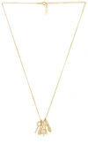 NATALIE B JEWELRY CELINE NECKLACE,NATA-WL463