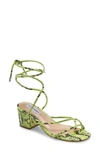 Steve Madden Impressed Lace Up Sandal In Green Snake Print