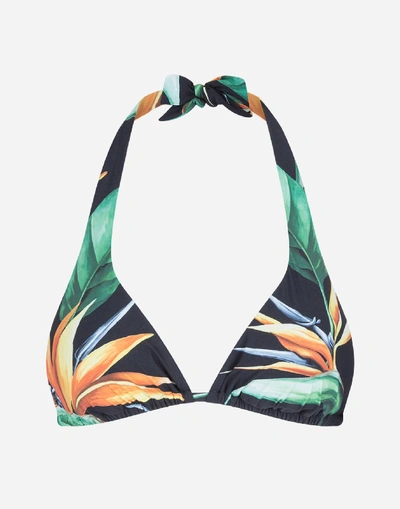 Dolce & Gabbana Padded Triangle Bikini Top With Bird Of Paradise Print In Floral Print
