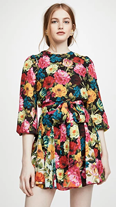 Alice And Olivia Alice & Olivia Mina Belted Floral Print Fit-and-flare Mini Dress In Just Bloom/black