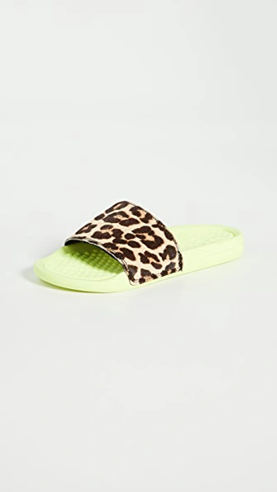Apl Athletic Propulsion Labs Iconic Calf Hair Slides In Energy/leopard