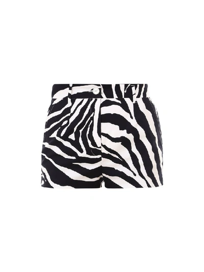 Dolce & Gabbana Zebra-print Cotton-blend Twill Shorts In Black,white