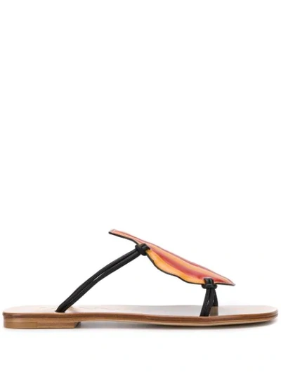 Lanvin Hot Air Balloon Flat Sandals In Yellow