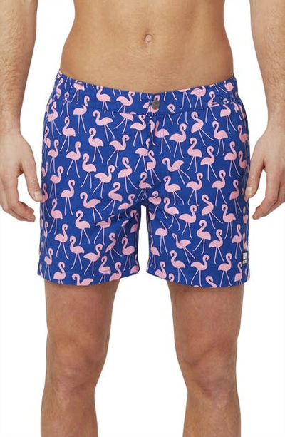 Tom & Teddy Flamingo Print Swim Trunks In Rose/ Blue