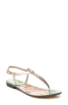 Sam Edelman Gigi T-strap Flat Sandals Women's Shoes In Champagne Leather