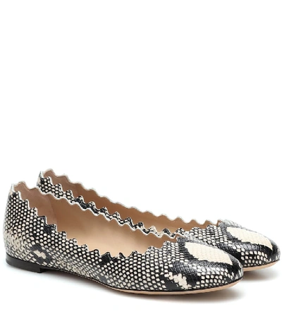 Chloé Lauren Scalloped Snake-effect Leather Ballet Flats In Eternal Grey